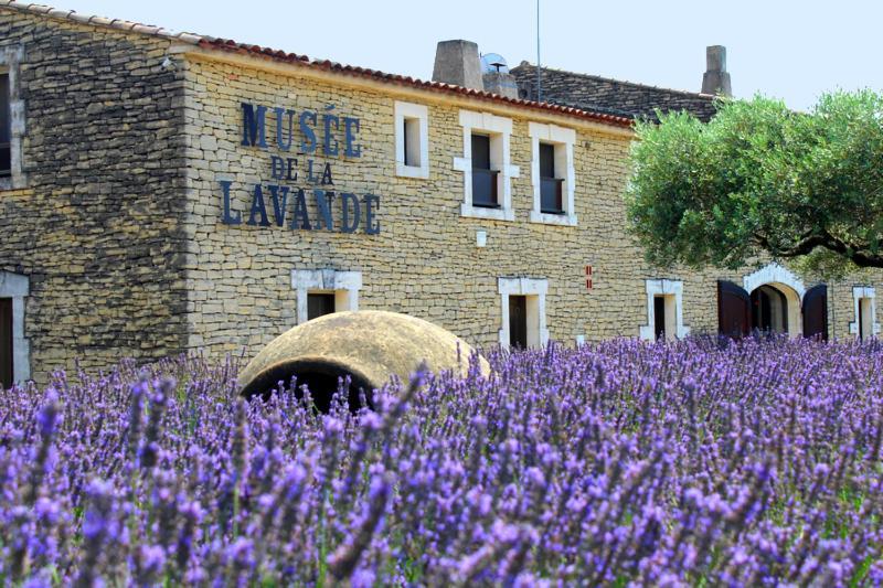 Chambre D Hotes Dans Le Vaucluse Mazan Kültér fotó
